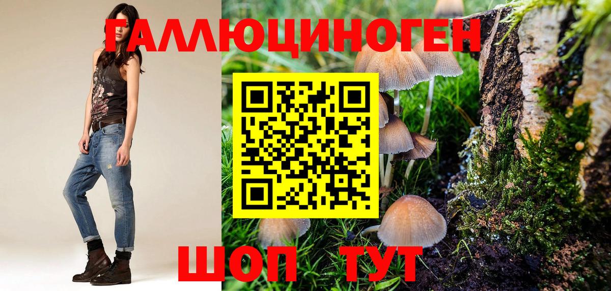 МЕФ кристаллы  A PVP СОЛЬ кристаллы  Домодедово  МЕТ  Канабис  Кокаин  ГАШ  Вход с VPN  ЭКСТАЗИ 