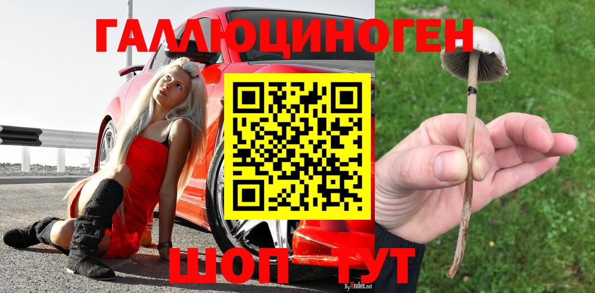 Псилоцибиновые грибы прущие грибы Домодедово