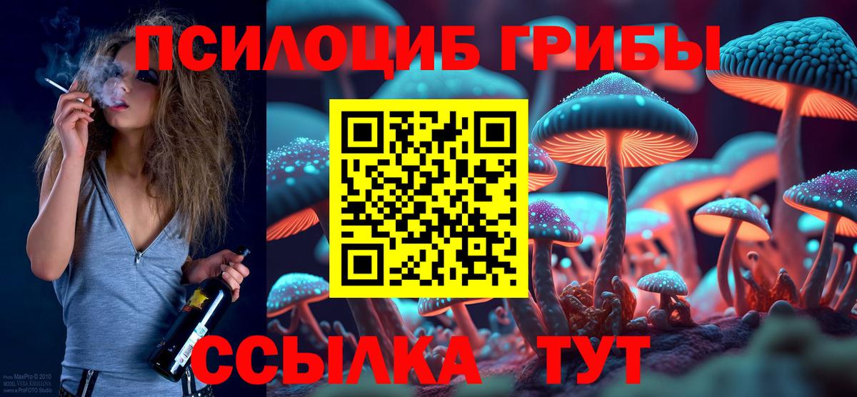 Псилоцибиновые грибы мицелий  Вход с VPN  Домодедово 